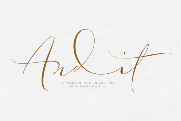 Andit Font: A Delicate Script Handwritten Typeface for Elegant Branding
