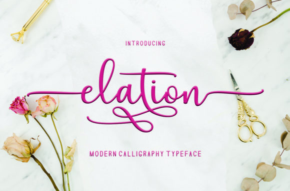 Elation: A Script Handwritten Font That Elevates Digital Campaigns
