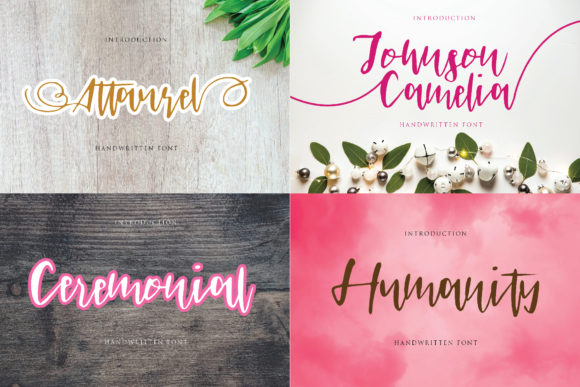 Johnson Camelia: A Script Handwritten Font for Thoughtful Editorial Design